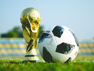 B体育 - B体育官方网站 - B SPORTS-中国冰壶队世锦赛首战告捷 新生代选手展现强劲实力
